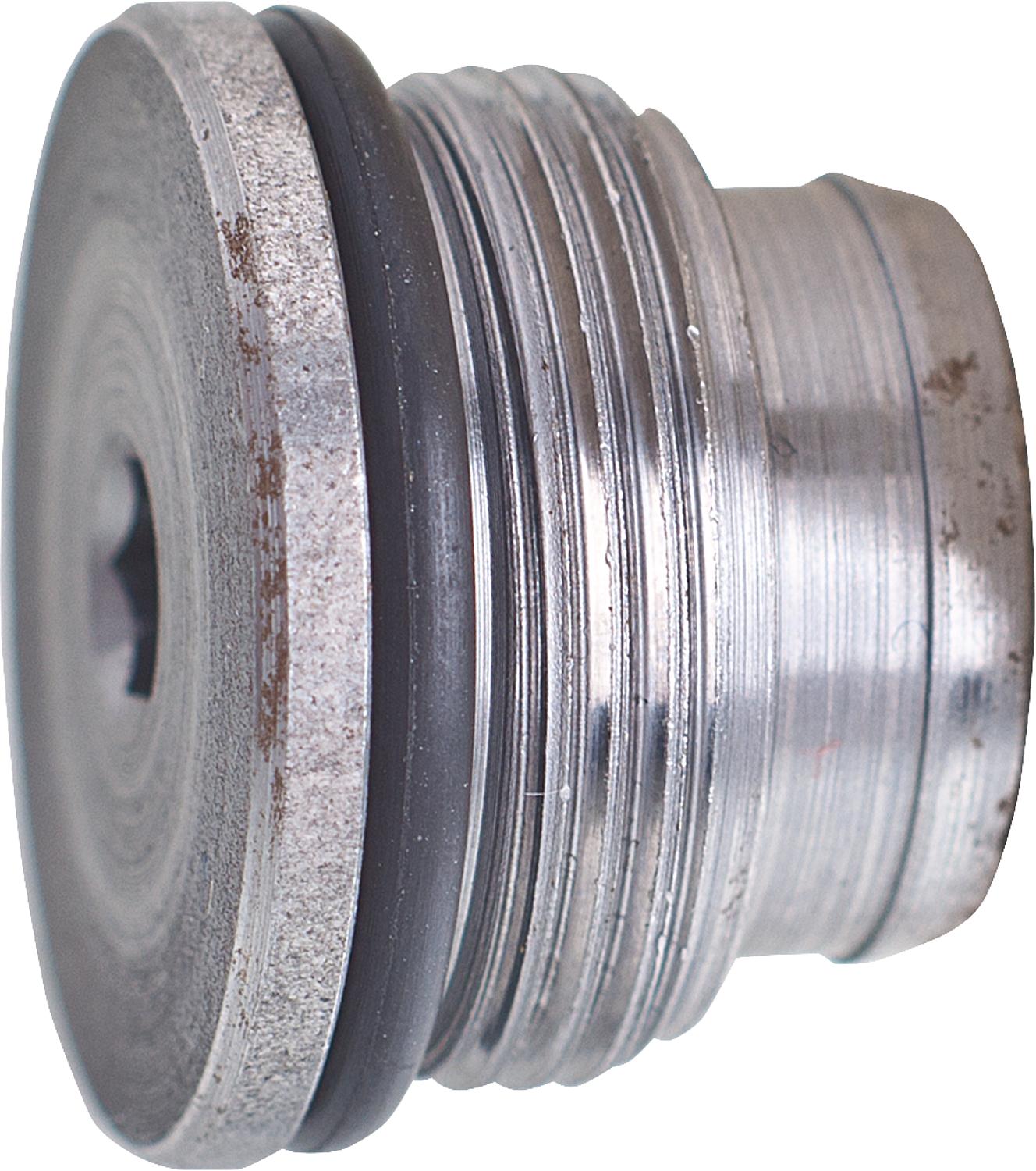 Plug for BFP (cartridge filter)