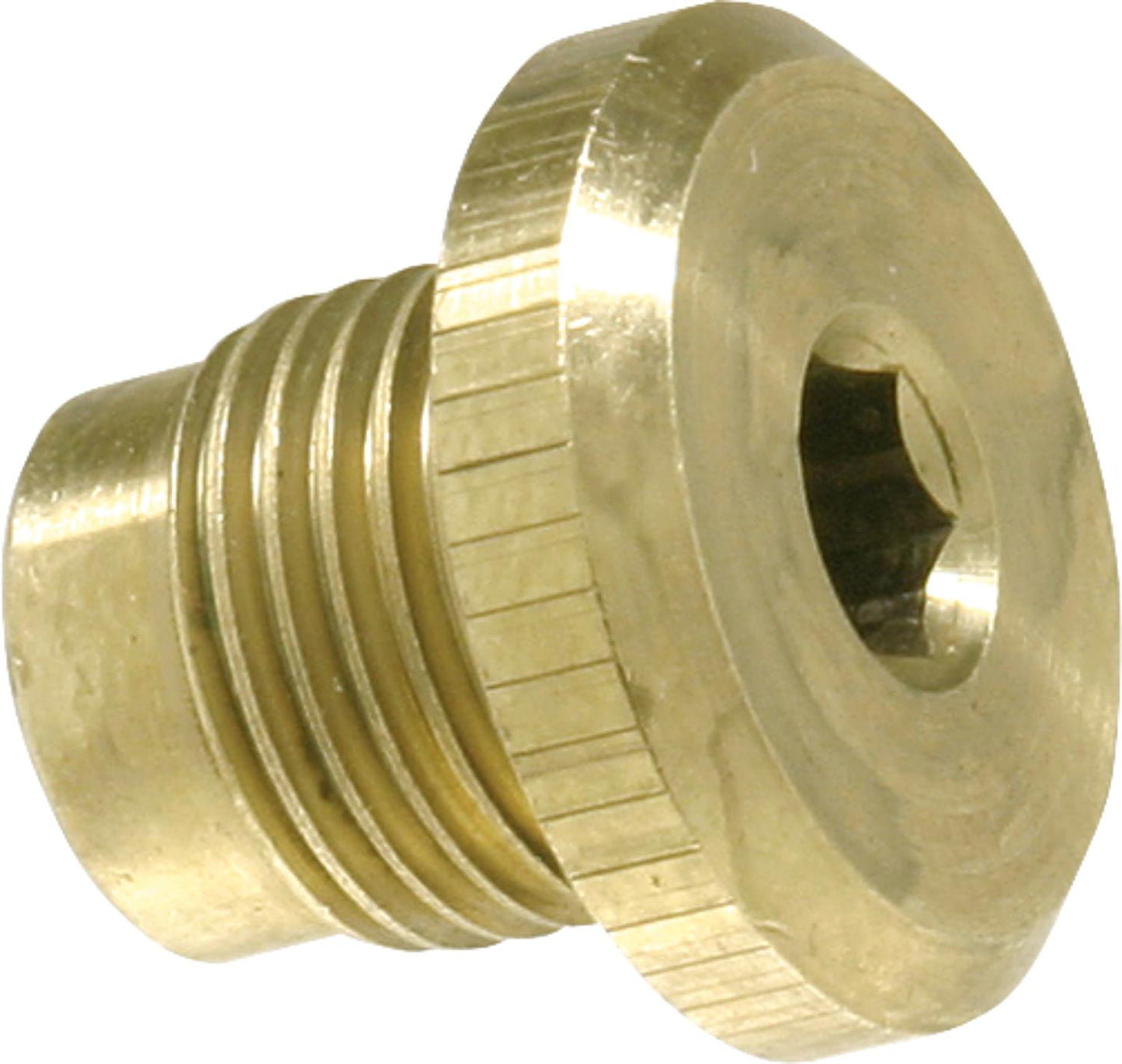 P/V Prüfstopfen für Danfoss BFP