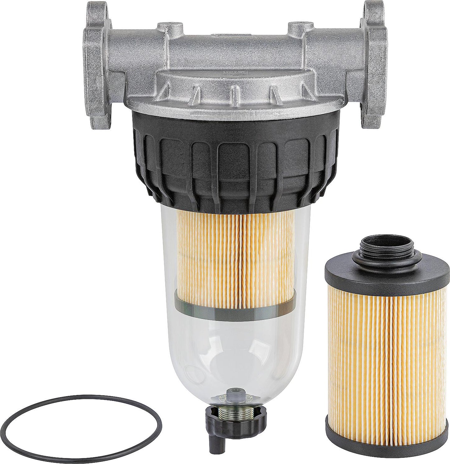 Replaceable filter with transparent container