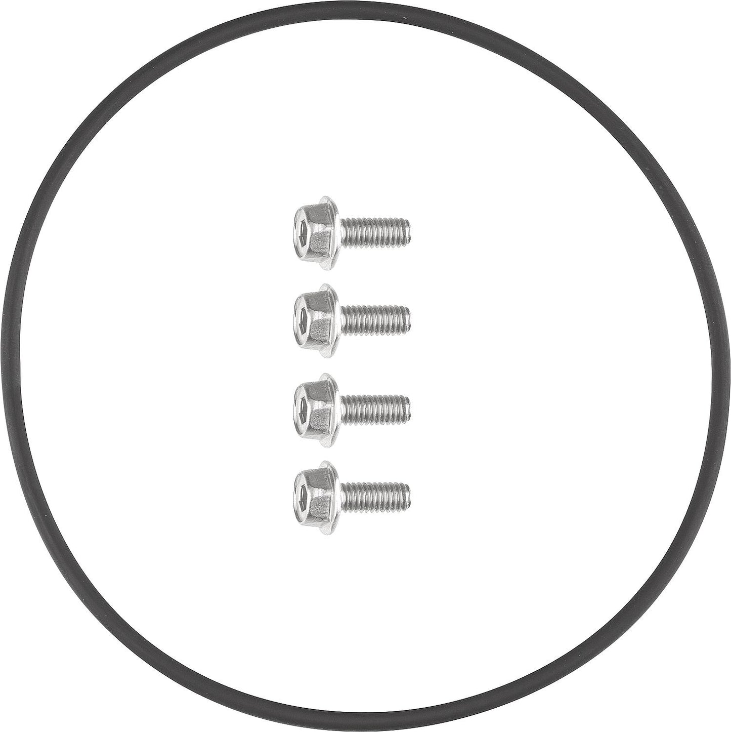 O-ring 87 x 2.5 Viton Wolf 89 06 617