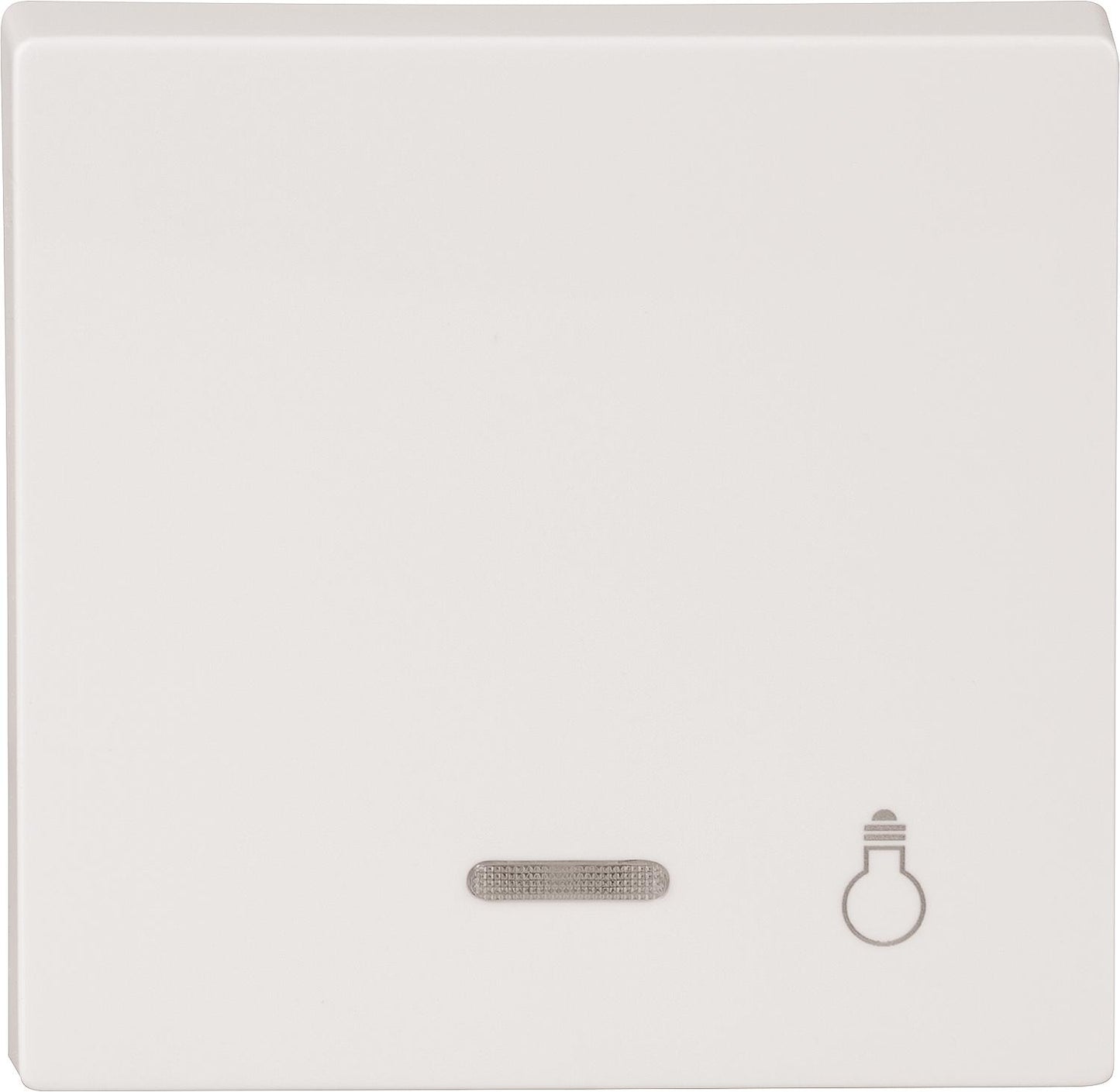 System M, Wippe mit Fenster Merten, Aufdruck Licht, aluminium