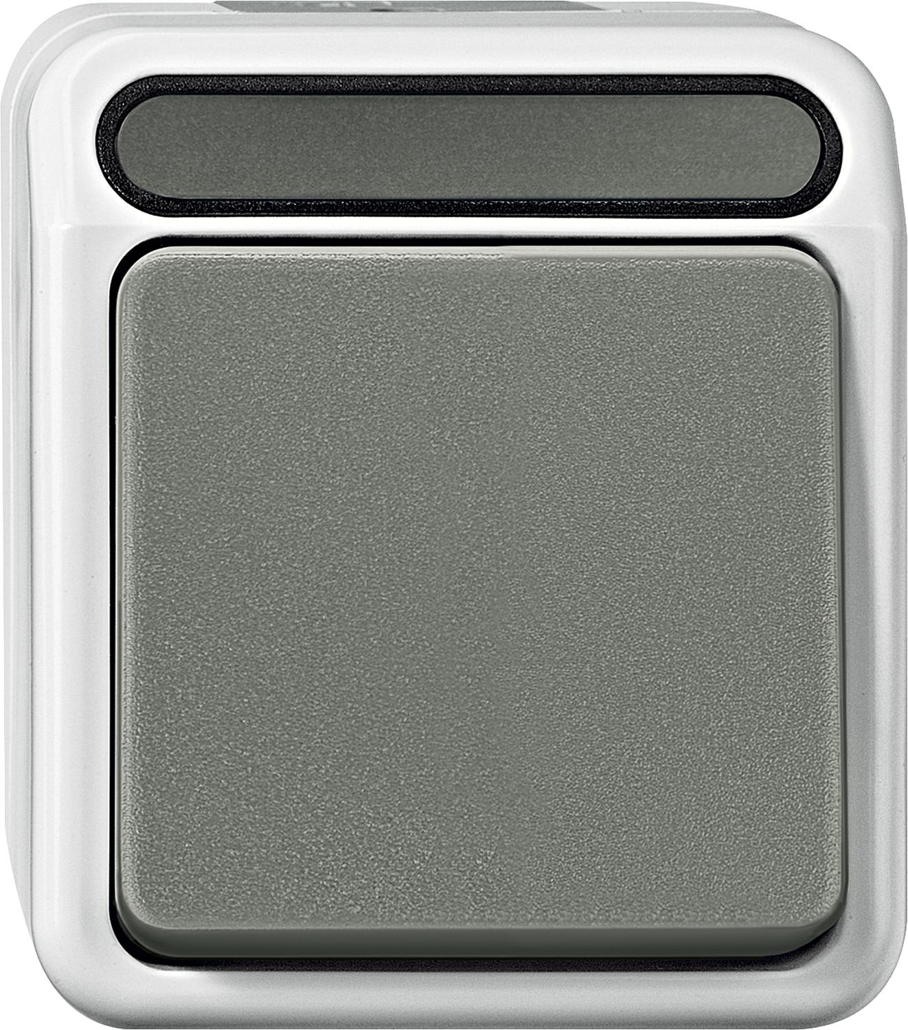 Merten Aquastar IP44 surface-mounted rocker switch, 1-pole, light grey, replaceable, 1 piece