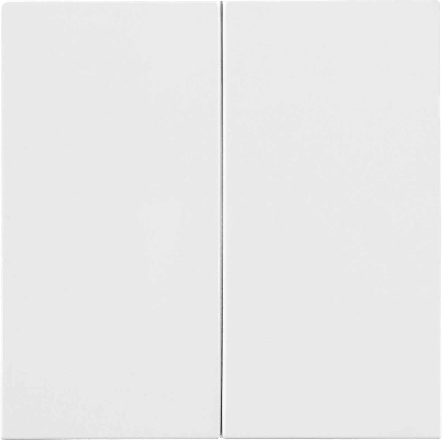 Series rocker switch Polar white for flush mounting
