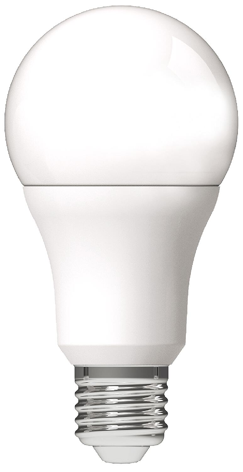 LED-Lampe Glühlampenform, matt