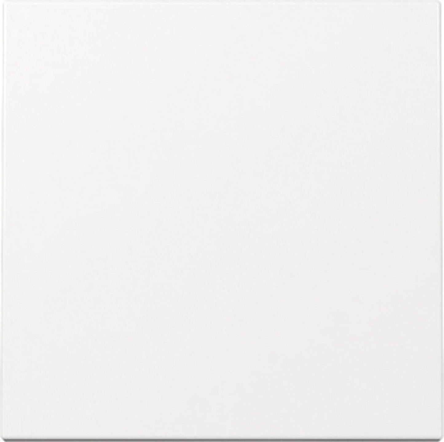 Interrupteur à bascule et bouton-poussoir, rws glz, Système 55, 329603