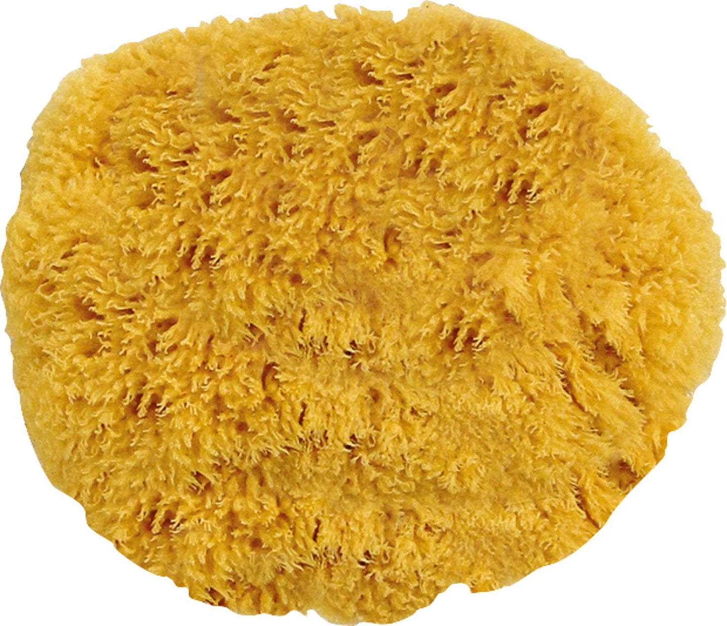 Natural sponge approx. 140 mm
