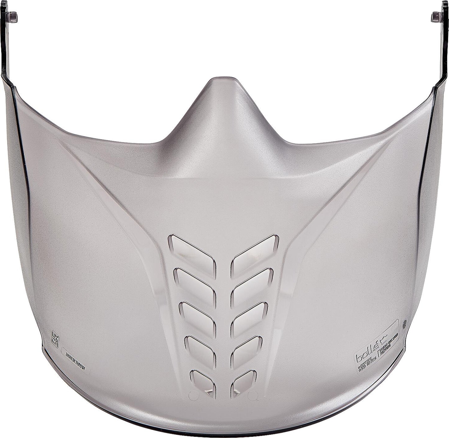 Goggle protective visor