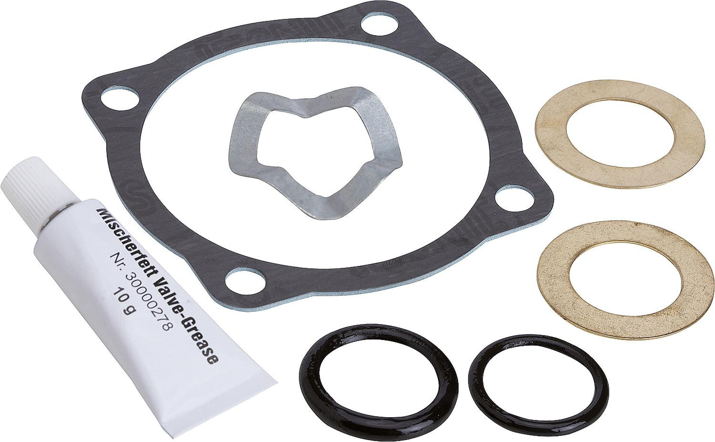 Complete seal kit with spring and pressure washer DN15-40 (C99)