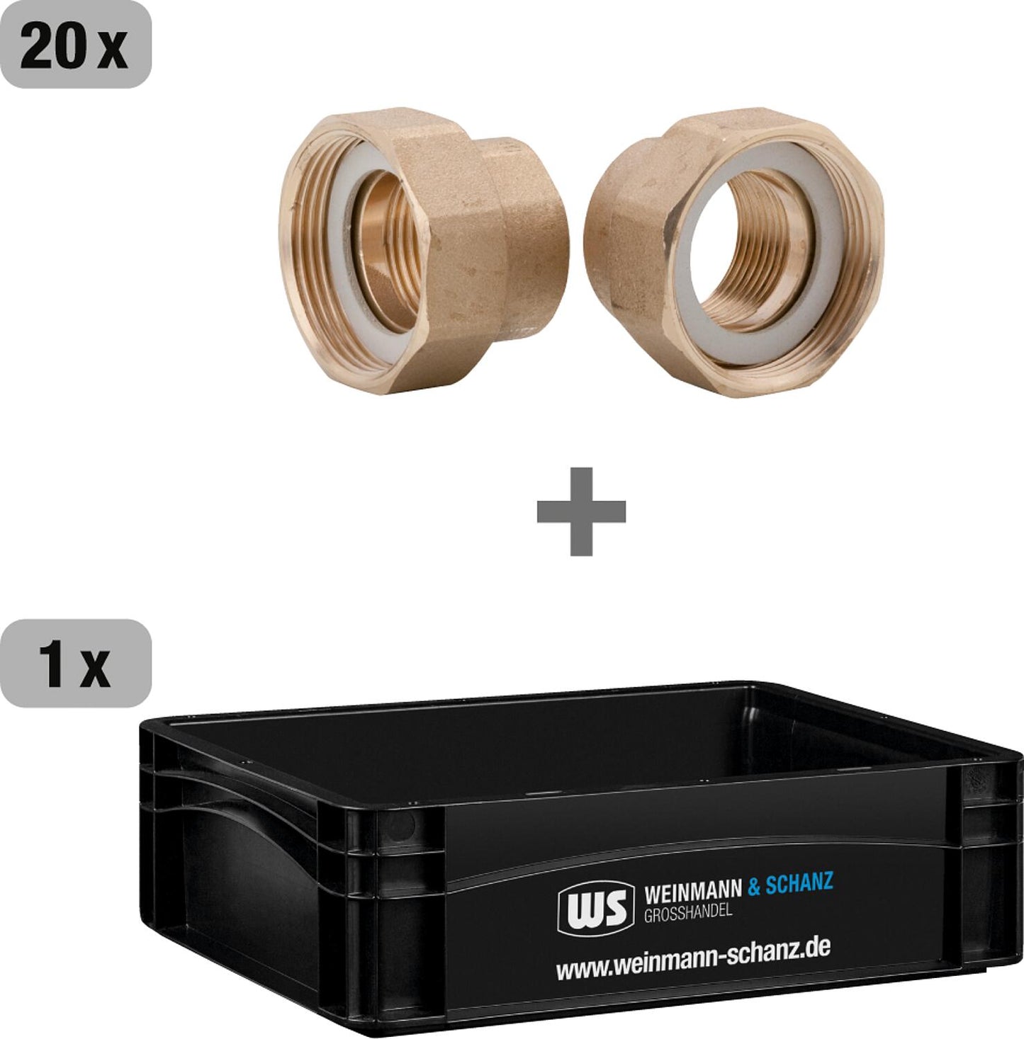 Lot économique : 20 vis en laiton de 25 mm (1 pouce) avec boîte WS.