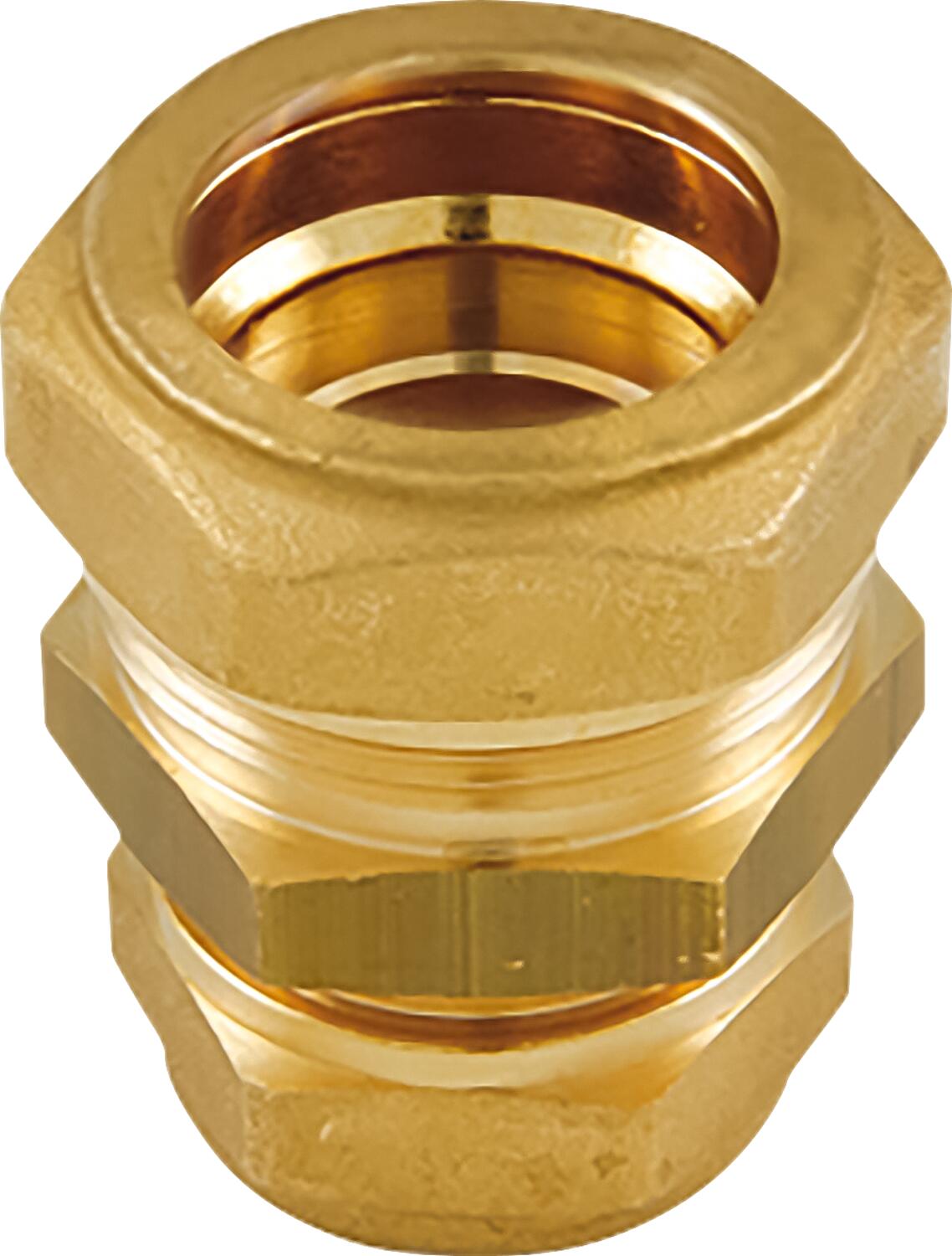 Raccord à vis métallique WS DN25 x 1" IG