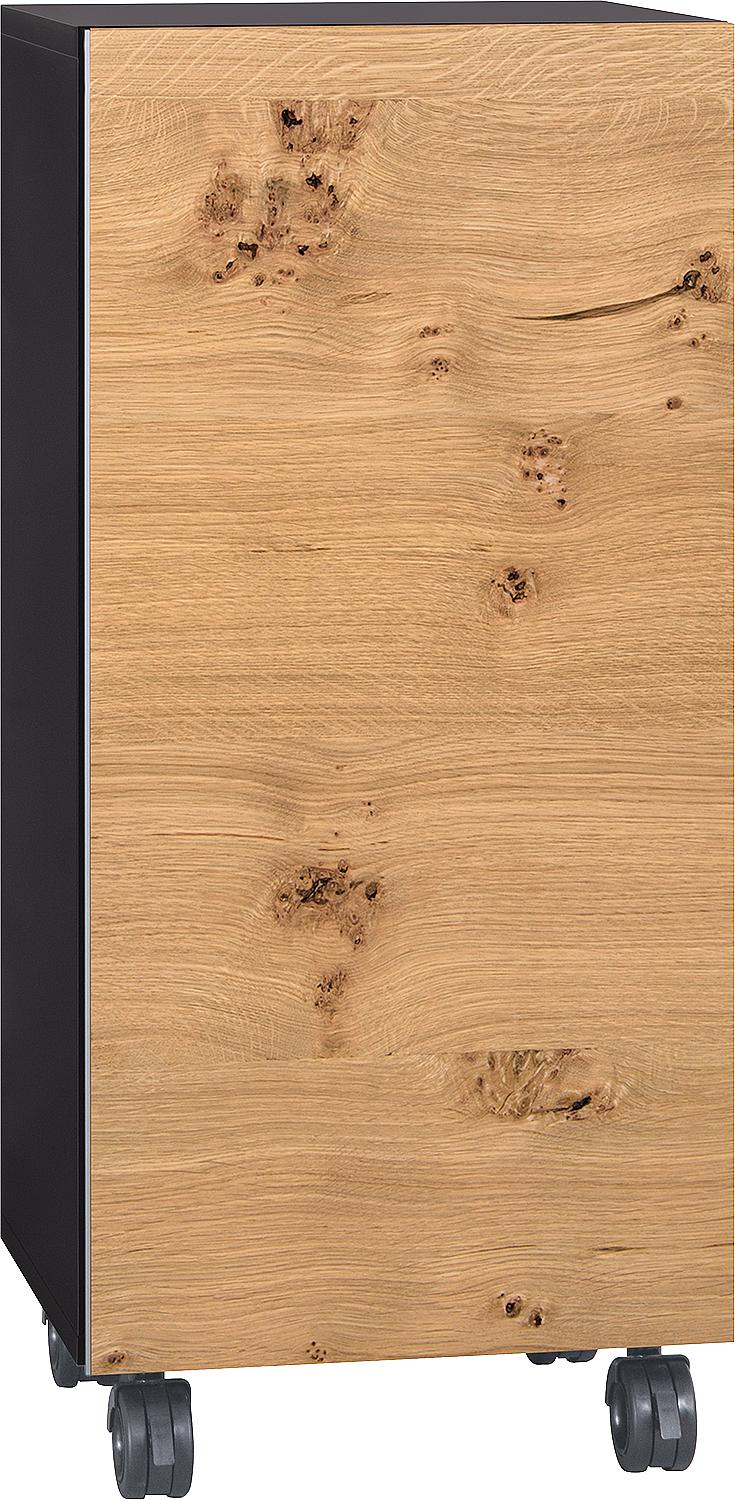 Conteneur roulant Ela