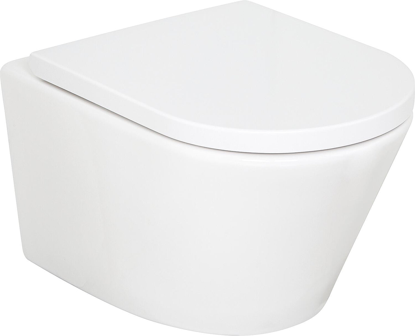 Combi-Pack Amur Wand-Tiefspül WC Spülrandlos und WC-Sitz Edoma softclose