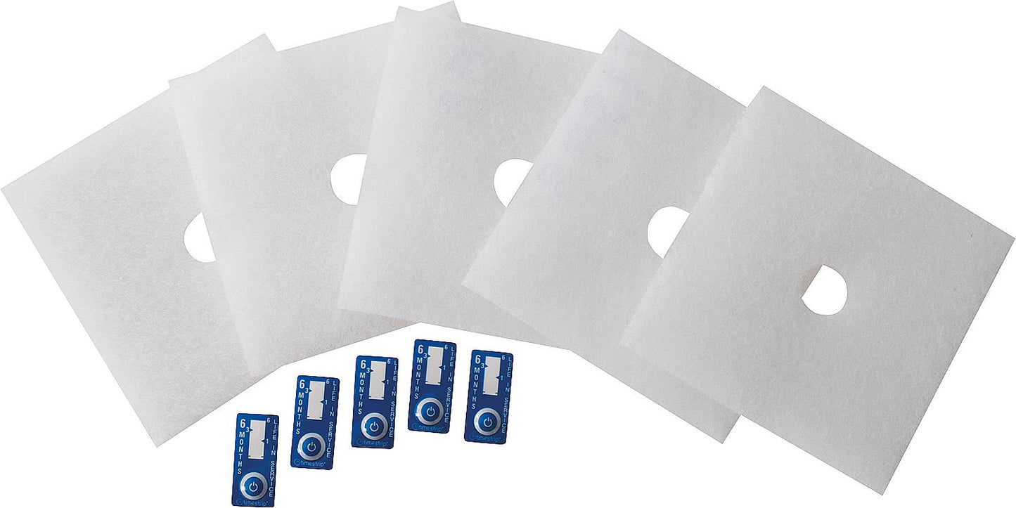 ZF 60/100 air filter with Timestrip, class G2, pack size 5