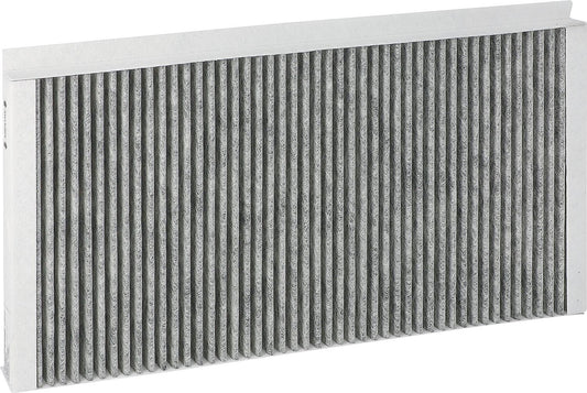 Wolf filter set, activated carbon filter for CWL-2-225, pack of 2, 1670347