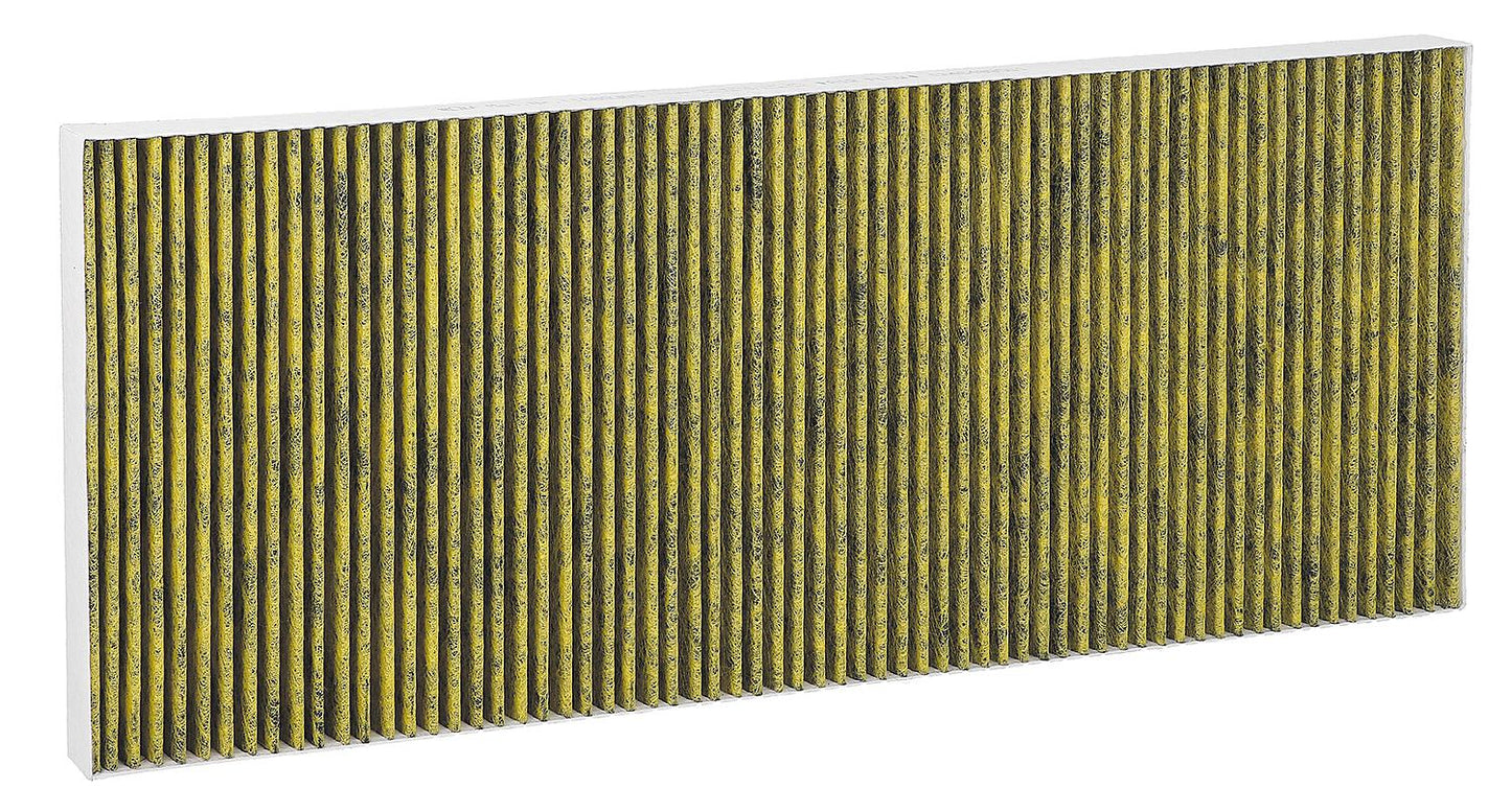 Wolf filter set, activated carbon filter for CWL-2-225, pack of 2, 1670347