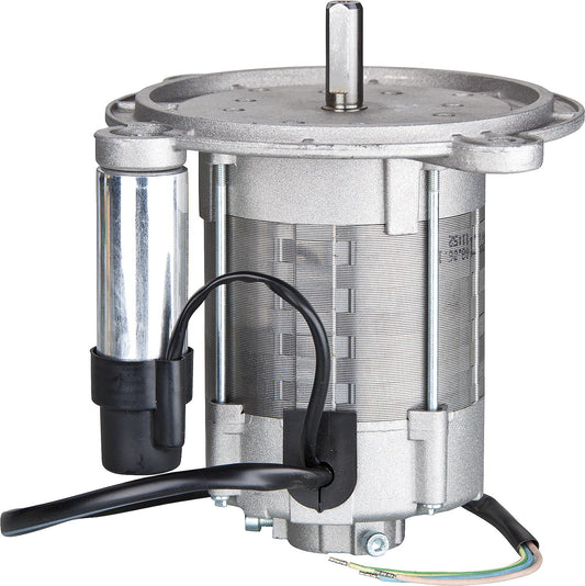 Moteur Golling 9EL-02-025003 compatible avec GLZ 200