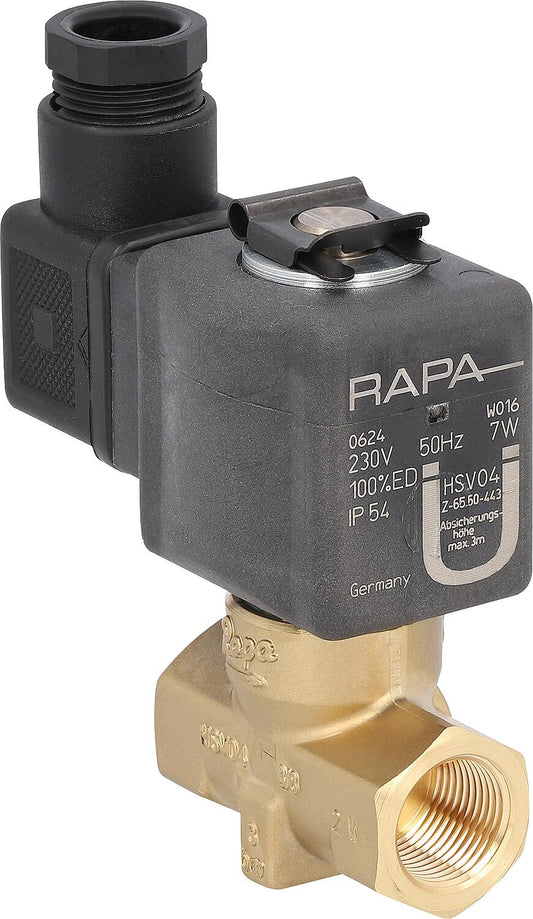 Rapa elektm.Heberschutz HSV 04 3/8" 220 V -0,9 - 3 bar, 120 l/h mit Bauartzulassung