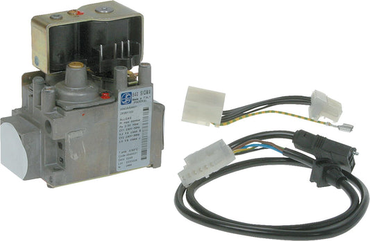 Vanne à gaz complète 05-3482