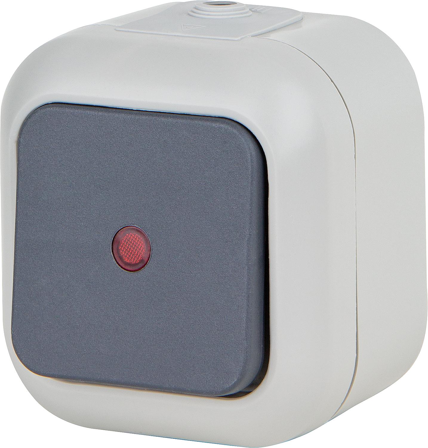 Control switch, Atlantik AP complete with neon indicator light