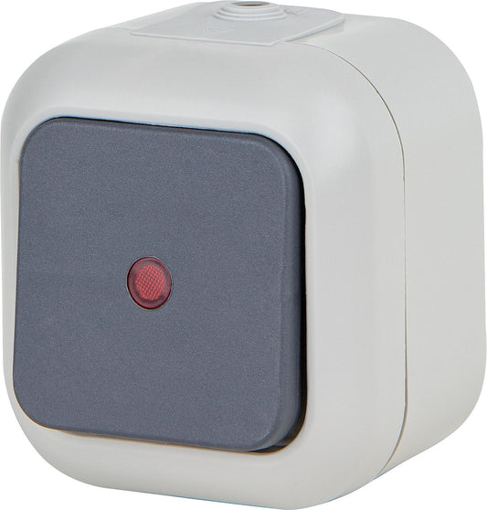 Control switch, Atlantik AP complete with neon indicator light