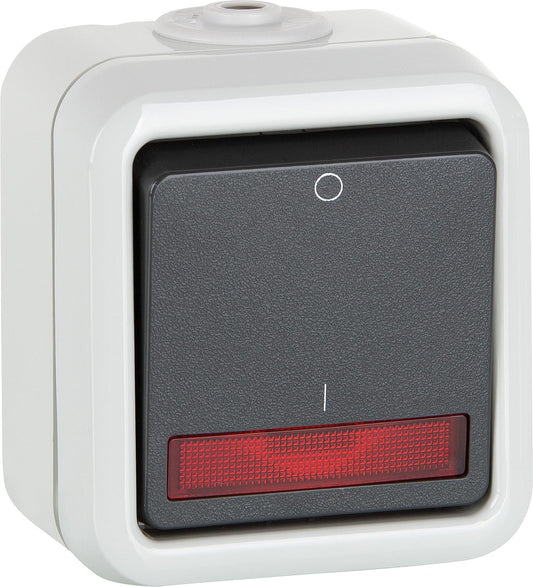 AP control switch PEHA IP44, grey, off switch D622 WAB GLK