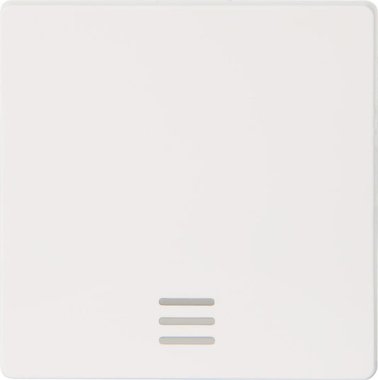 Wippe m. Fenster/ titanweiss 55 mm x 55 mm Schutzart IP20 / 1 Stück