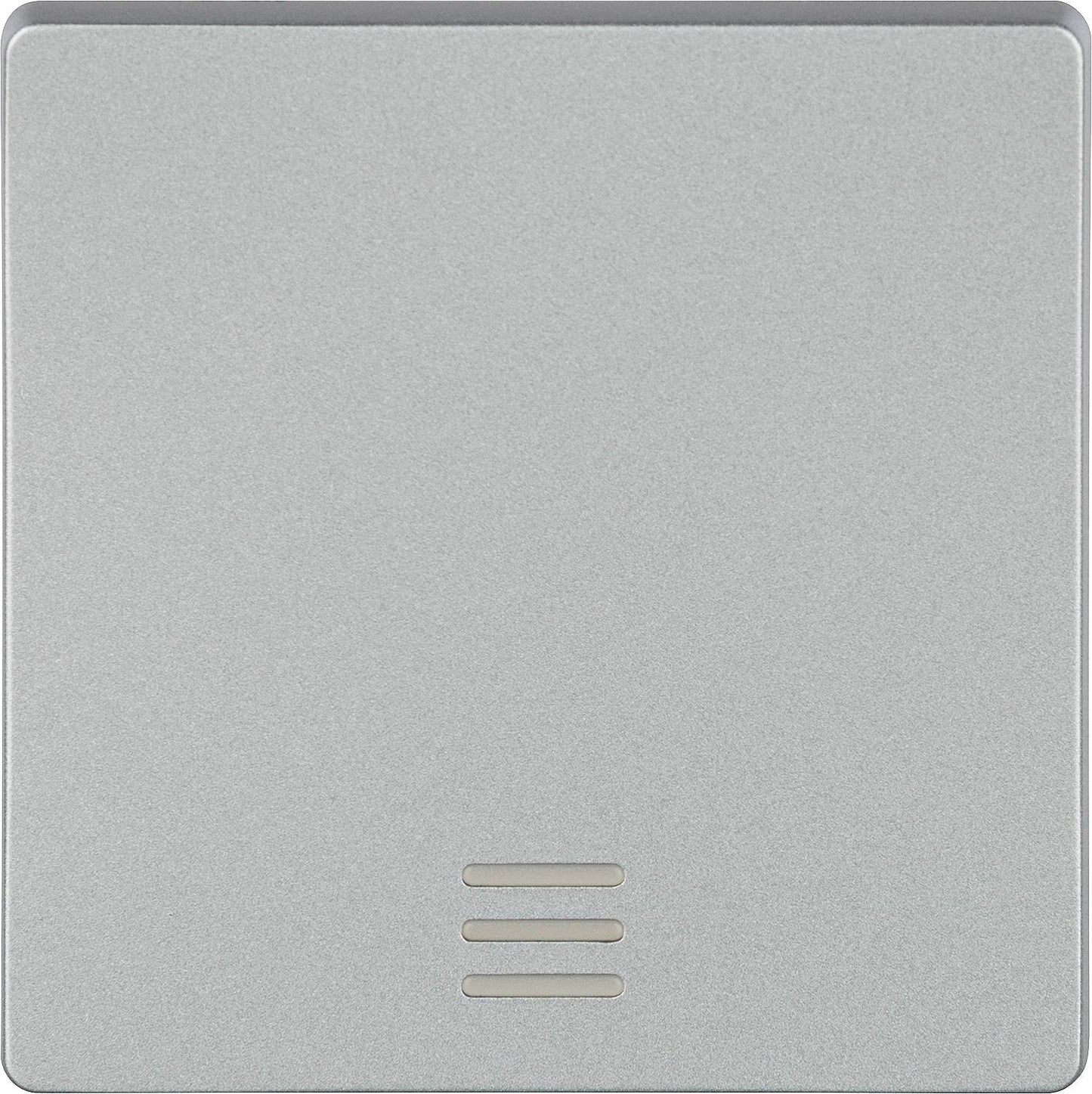 Rocker switch with window / titanium white 55 mm x 55 mm protection class IP20 / 1 piece