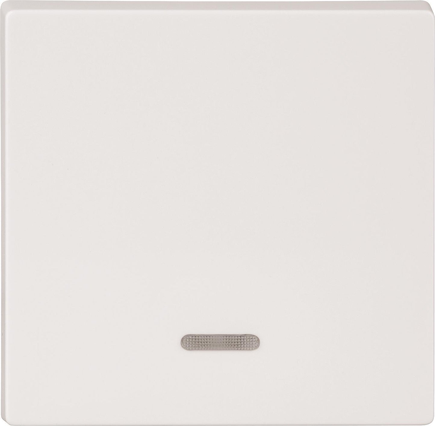 Merten rocker switch with inspection window, System M, aluminium, 1 piece