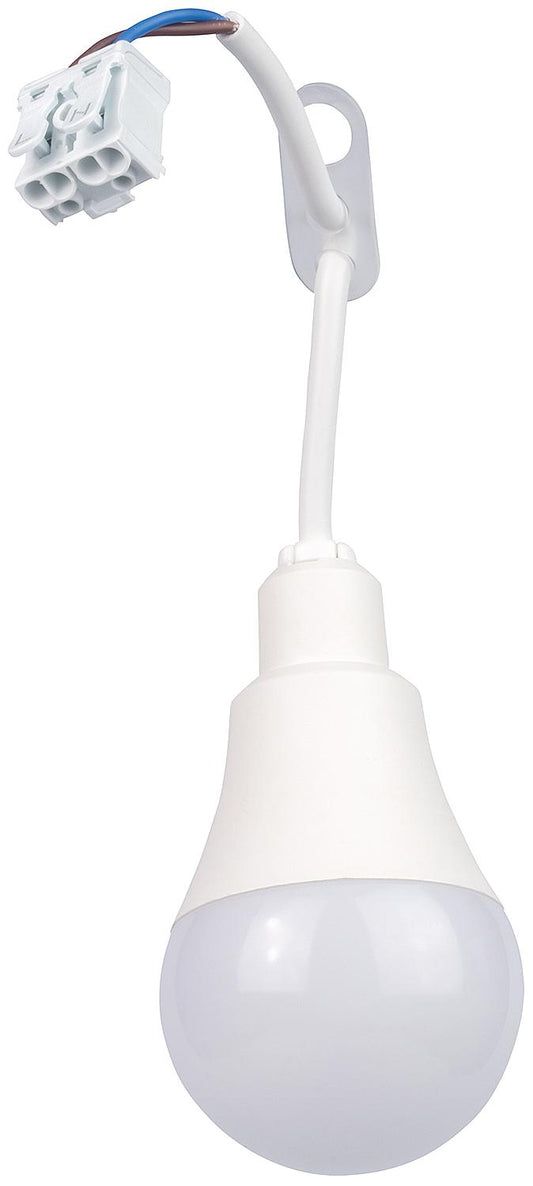 LED construction site socket with integrated light source 12W 4000K