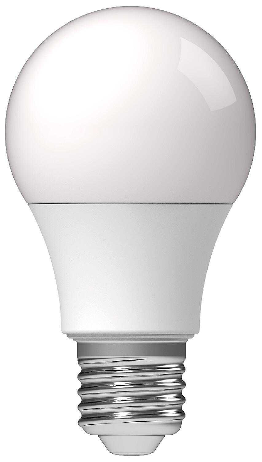 LED-Lampe Glühlampenform, matt