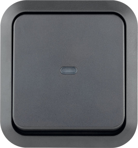 Interrupteur de commande AquaStorm avec voyant néon, montage en surface, gris