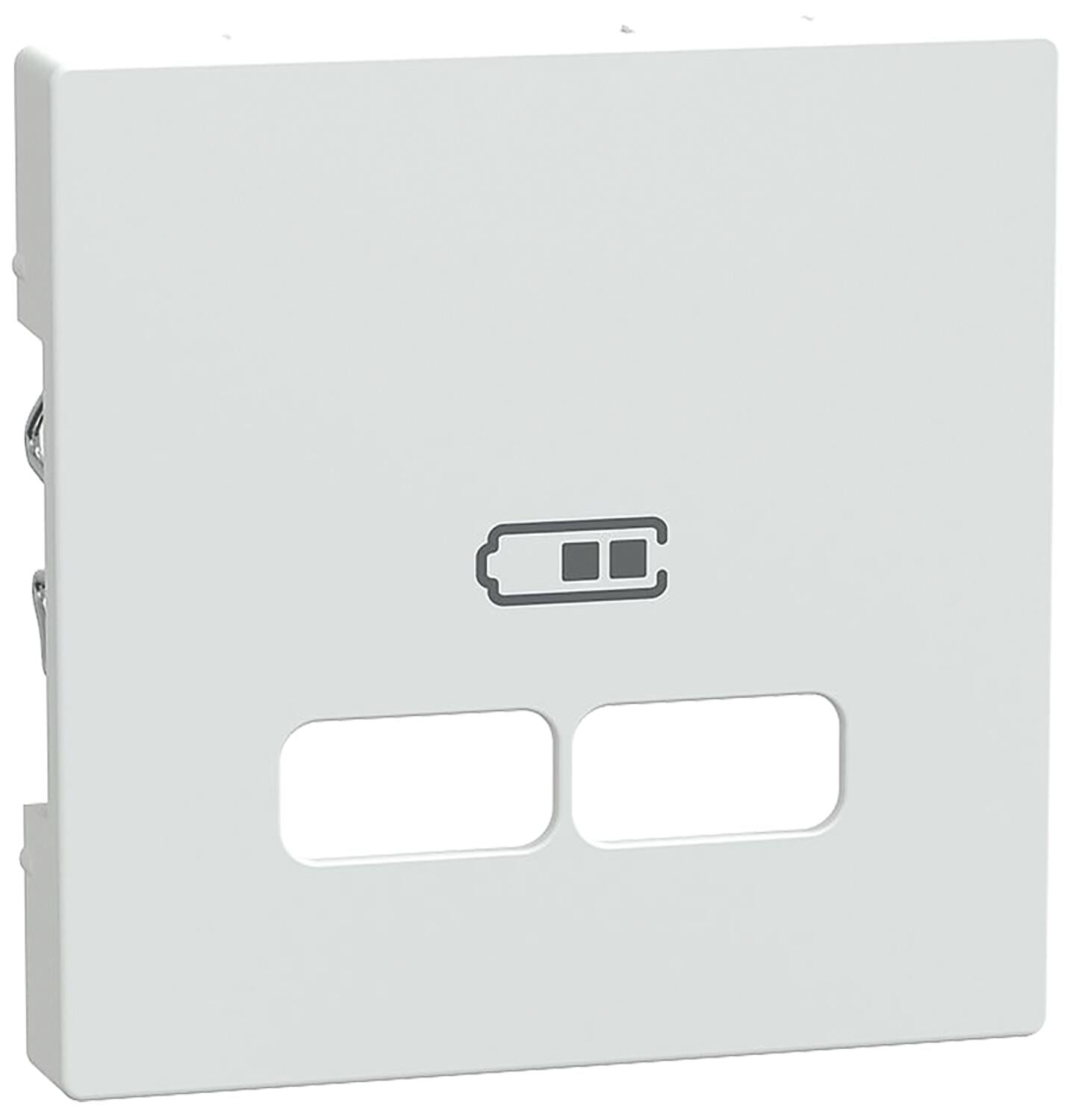 Central plate for USB charging station insert, matte black