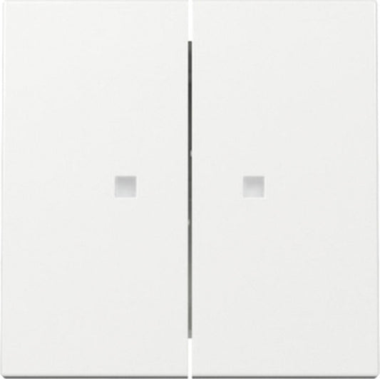 Wippe 2-fach, Kontrollfenster, rws glz, System 55, 363103