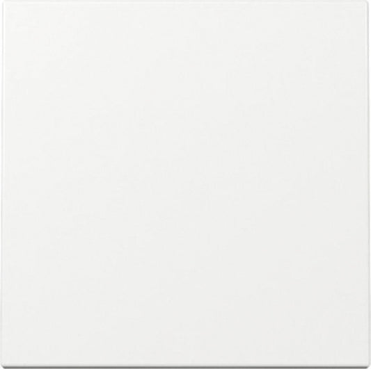 Wippe Schalter und Taster, rws glz, System 55, 329603