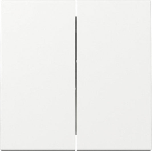 Wippe 2-fach für Serienschalter / Serientaster, rws, glz, System 55, 329503