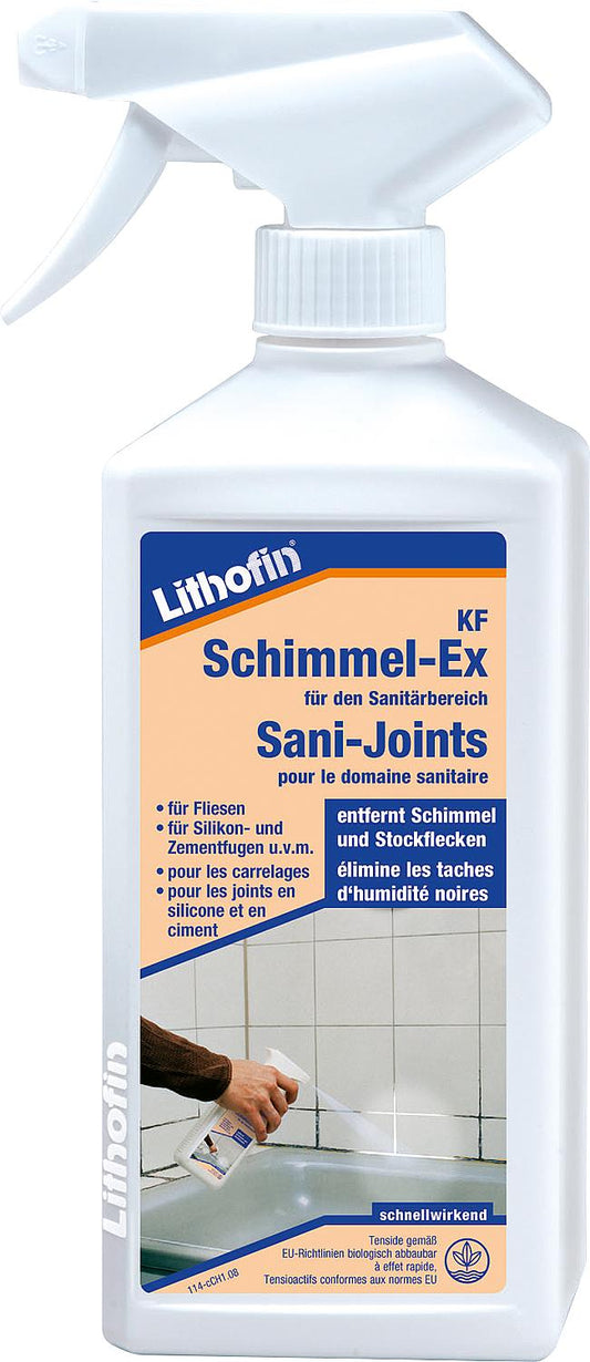 LITHOFIN KF Mold Remover 500ml Hand Sprayer