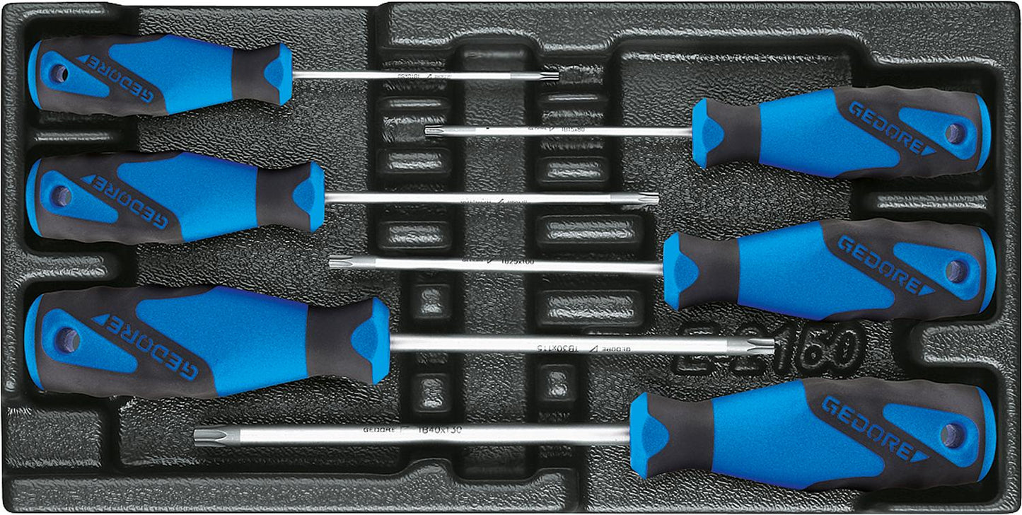 Schraubendrehersatz GEDORE 6-teilig in ABS-Kunststoff Modul Torx mit Bohrung