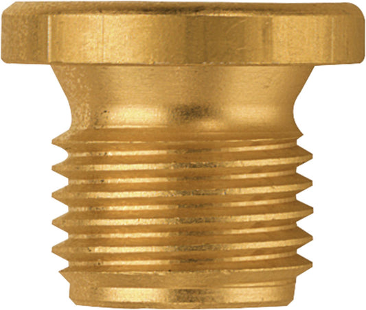 Socket head cap screw G 1/8"