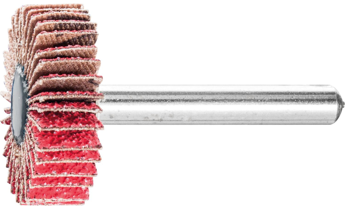 Fächerschleifer Pferd F, Ø 30 x 10 mm, Schaft-Ø 6 mm, Körnung A 40
