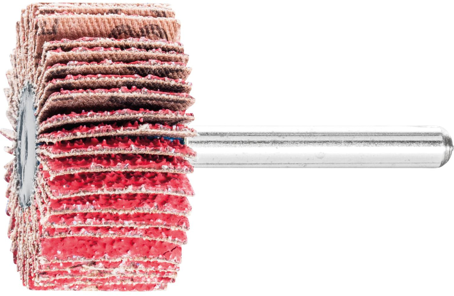 Fächerschleifer Pferd F, Ø 30 x 10 mm, Schaft-Ø 6 mm, Körnung A 40