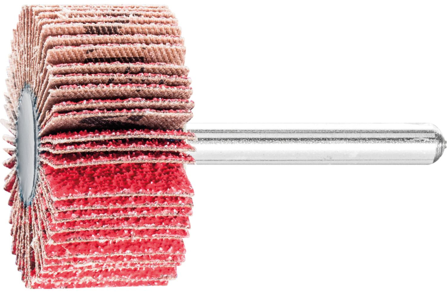 Fächerschleifer Pferd F, Ø 30 x 10 mm, Schaft-Ø 6 mm, Körnung A 40