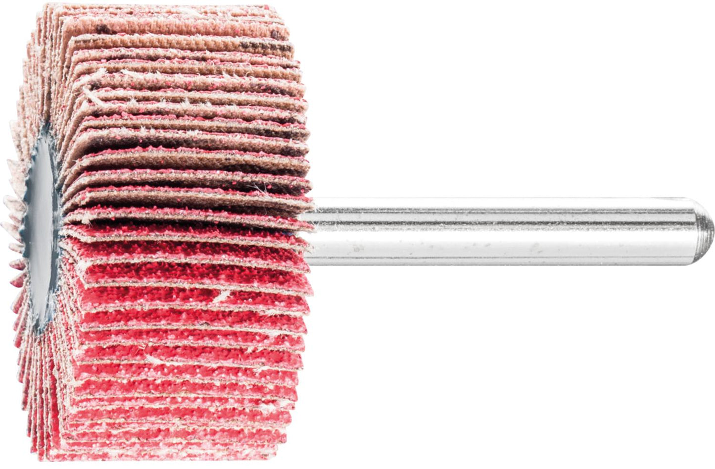 Fächerschleifer Pferd F, Ø 30 x 10 mm, Schaft-Ø 6 mm, Körnung A 40