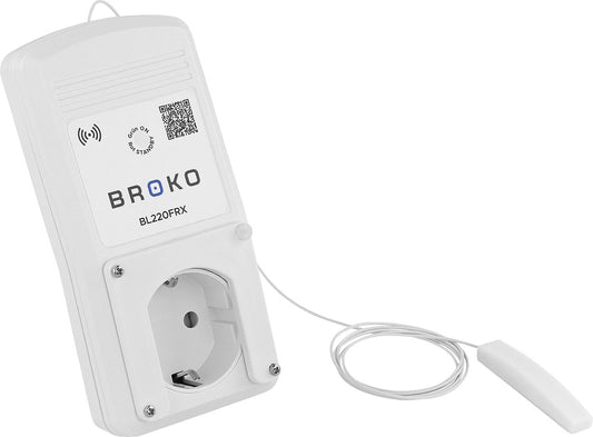 Récepteur radio BL220FRX, version à prise