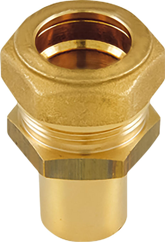 Metal screw fitting WS DN25 x 22mm spigot