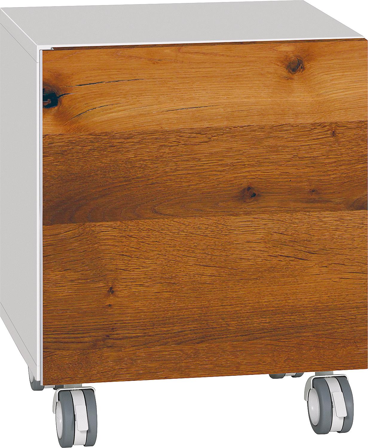 Conteneur roulant Ela