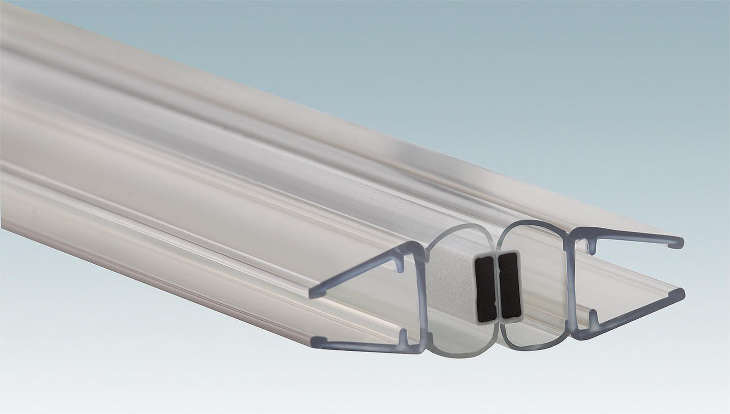 Profilé magnétique droit, pour 6 mm, L : 1950 mm Arena 2002, Conditionnement : 2 pièces Réf. : 041104034