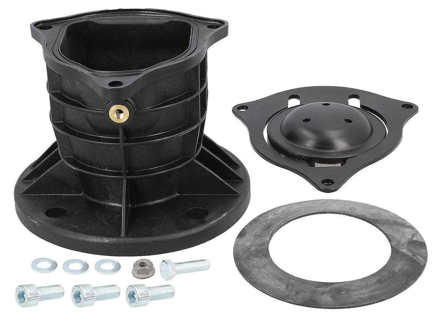 Rückschlagklappe Jung Pentair  COMPLI 300