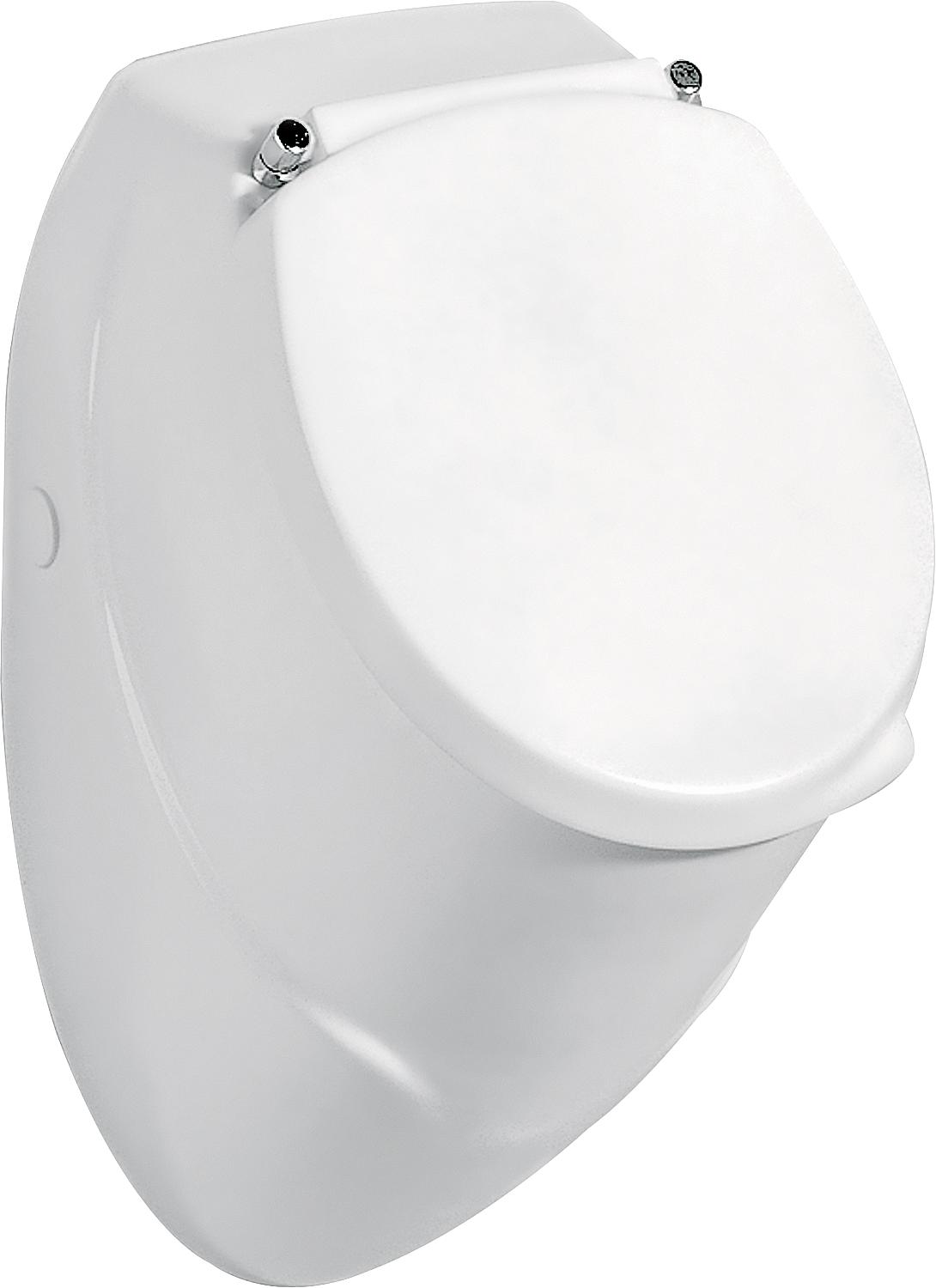 Urinal EDU Komplett-Set Zulauf von hinten BxHxT: 310x525x320 mm Keramik weiss