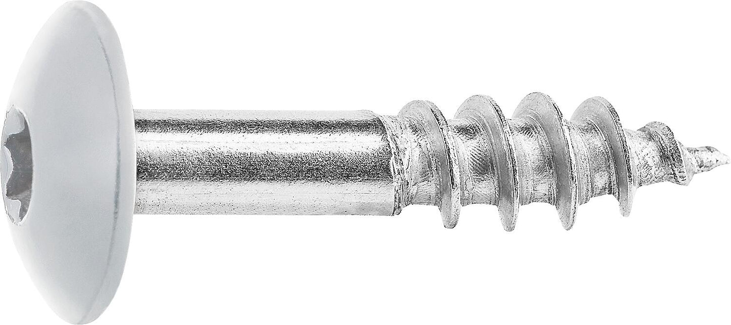 Fassadenschrauben für HPL-Platten A4
