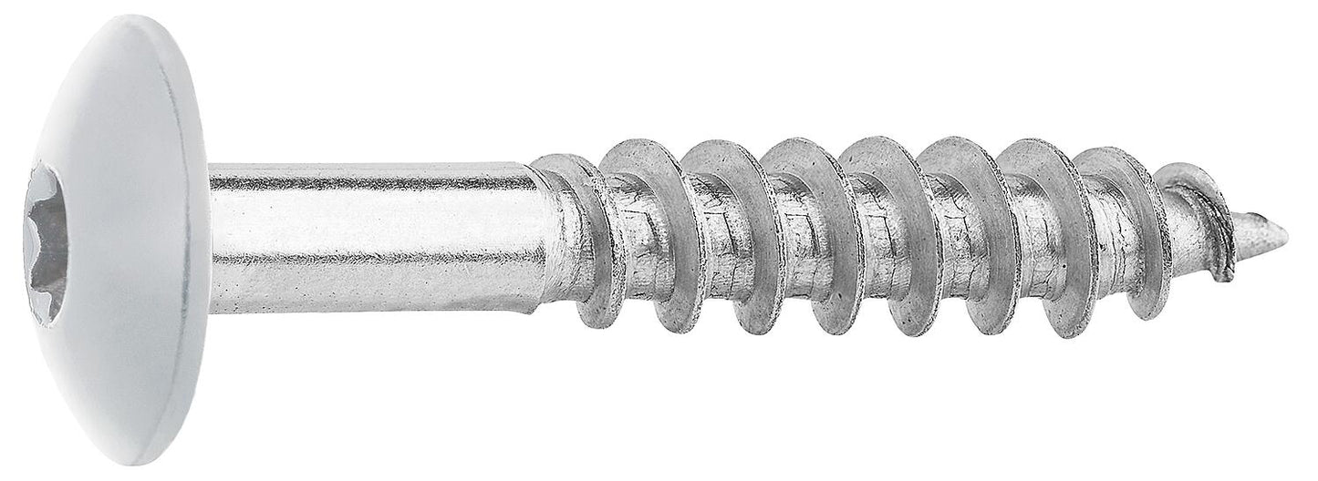 Fassadenschrauben für HPL-Platten A4